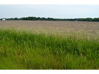 Property photo 9 - FARM & LAND AUCTION - 125+/- ACRES OFFERED IN 5 TRACTS IN EAST ALLEN COUNTY, INDIANA